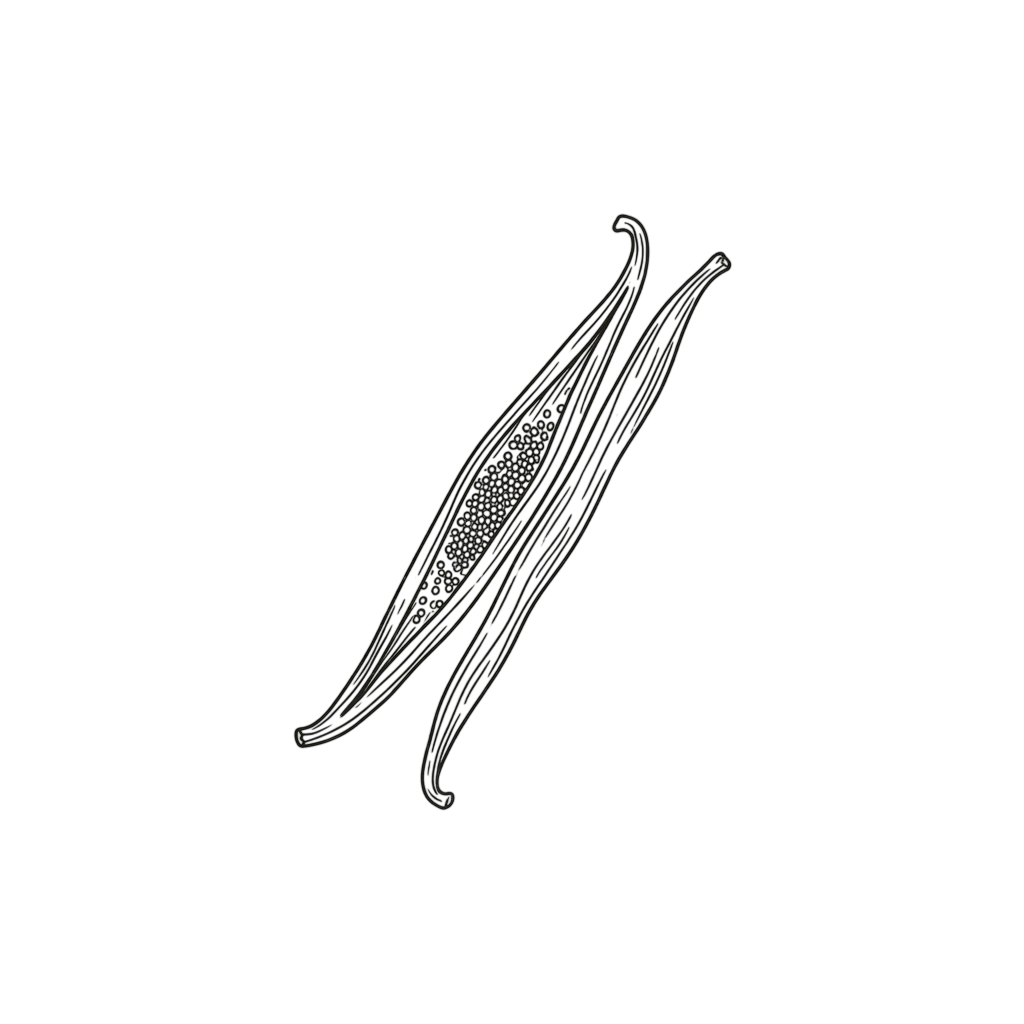 Vanilla